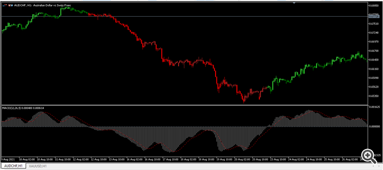 MACD Candles Alert - indicator for MetaTrader 5