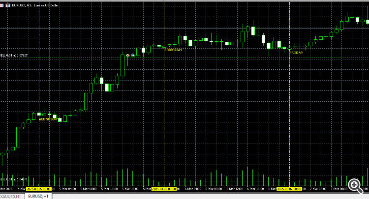 Daily Vertical Lines - indicator for MetaTrader 5