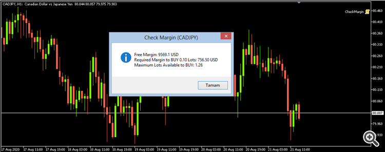 Check Margin - script for MetaTrader 5