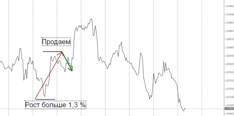 VR---SETKA---3 - expert for MetaTrader 5