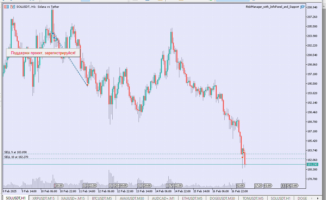 RiskManager with InfoPanel and Support - expert for MetaTrader 5