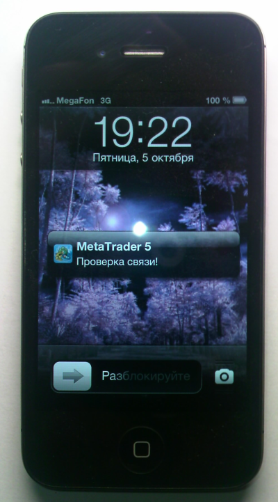 SendPush - script for MetaTrader 5