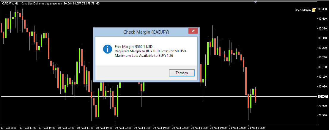 Check Margin - script for MetaTrader 5
