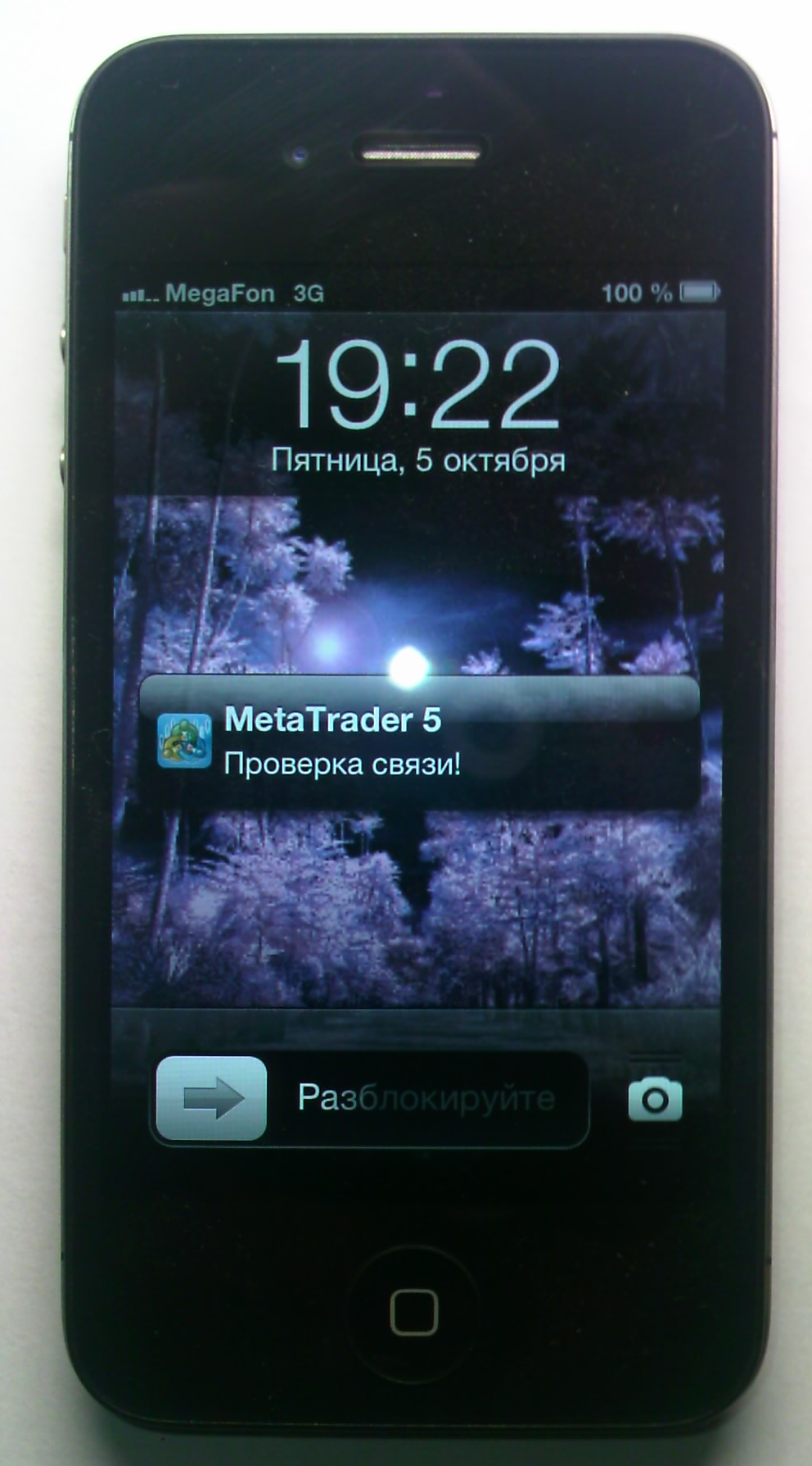 SendPush - script for MetaTrader 5