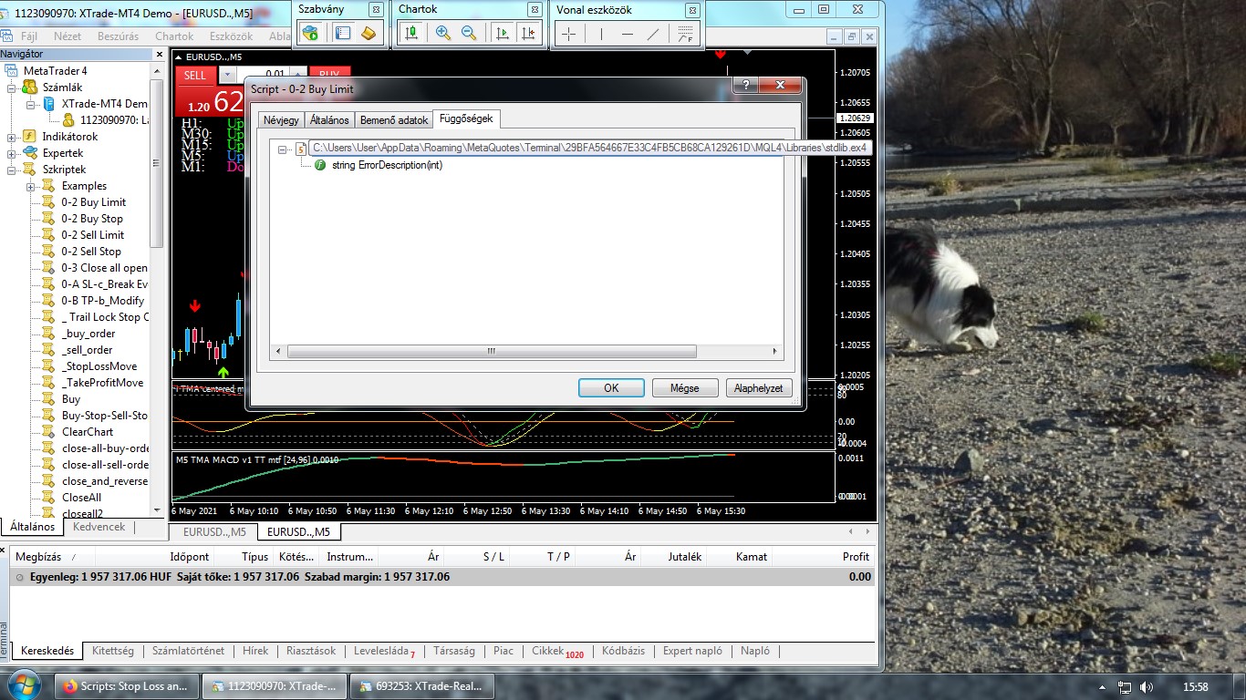 Stop Loss and Take Profit Scripts - script for MetaTrader 4
