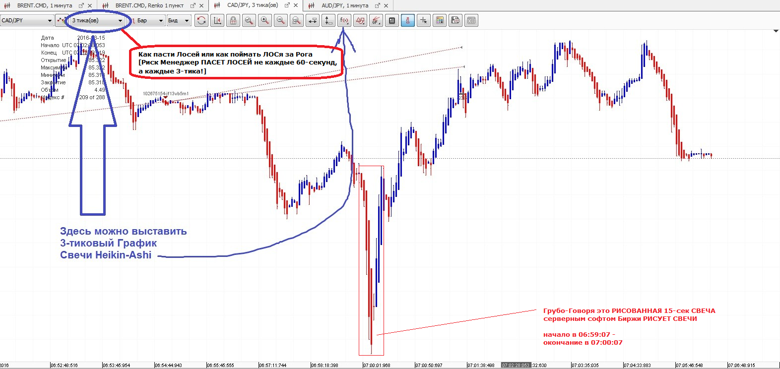 OpenTicks - expert for MetaTrader 5