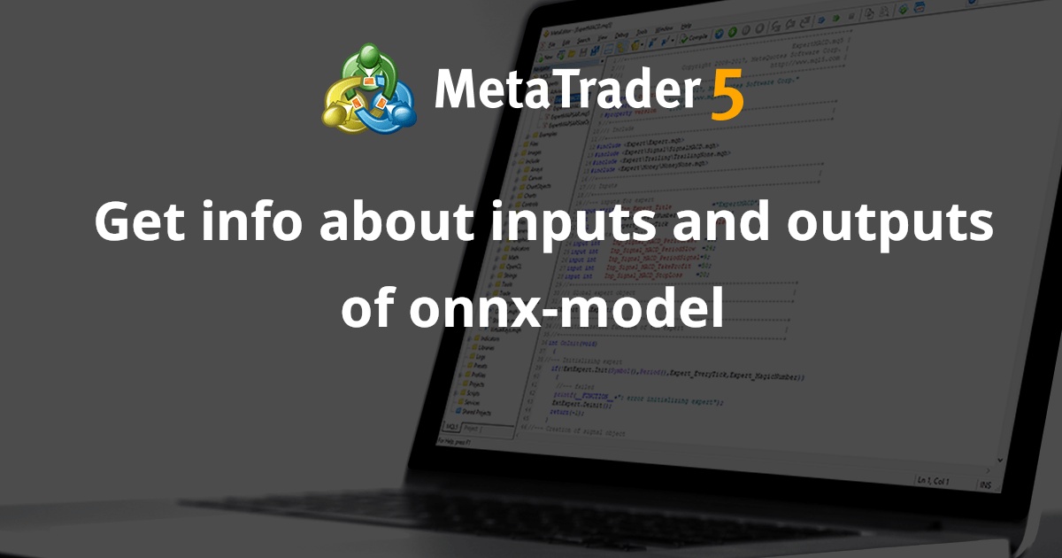 获取有关 onnx-model 输入和输出的信息 - MetaTrader 5 脚本