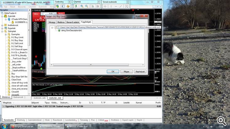 Stop Loss and Take Profit Scripts - script for MetaTrader 4