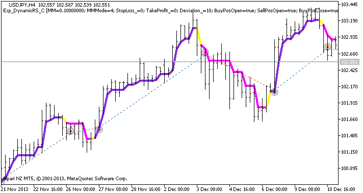 Exp_DynamicRS_C - MetaTrader 5 专家