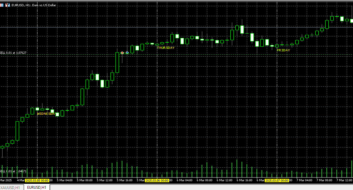 Daily Vertical Lines - indicator for MetaTrader 5