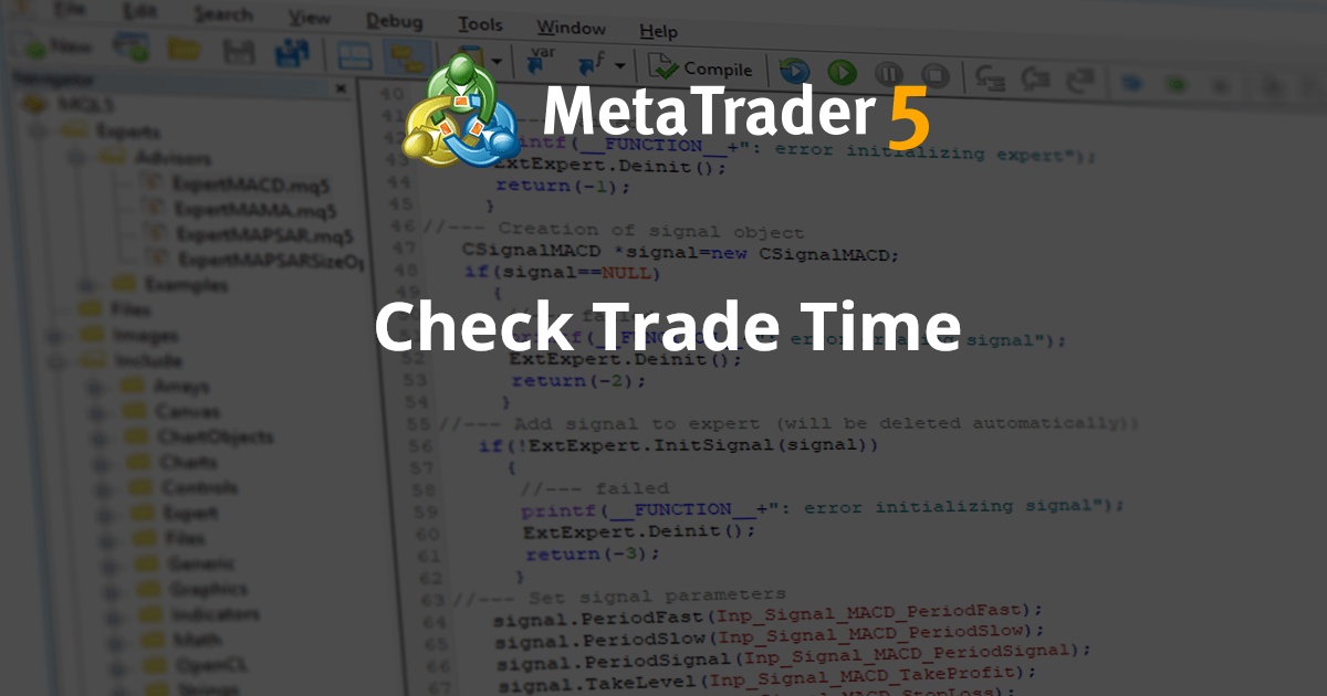 检查交易时间 - MetaTrader 4 专家