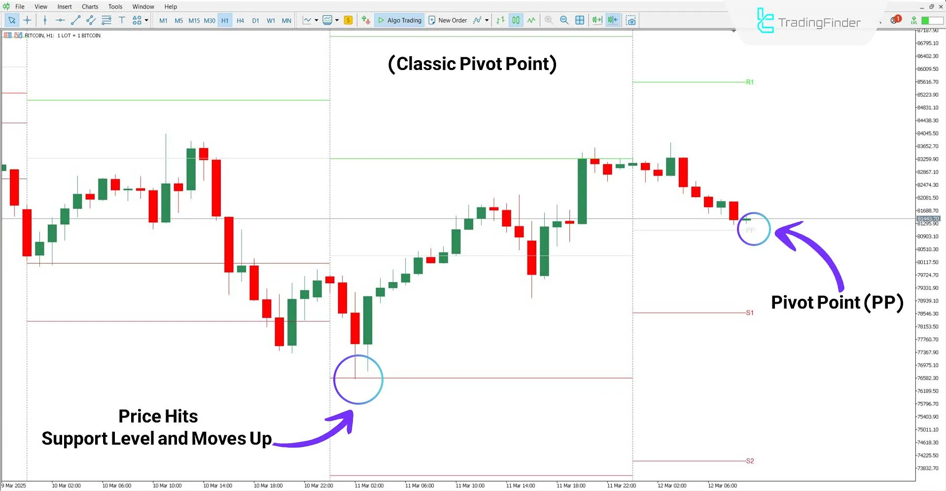 Analyzing the Bullish Trend with the All Pivot Points Indicator