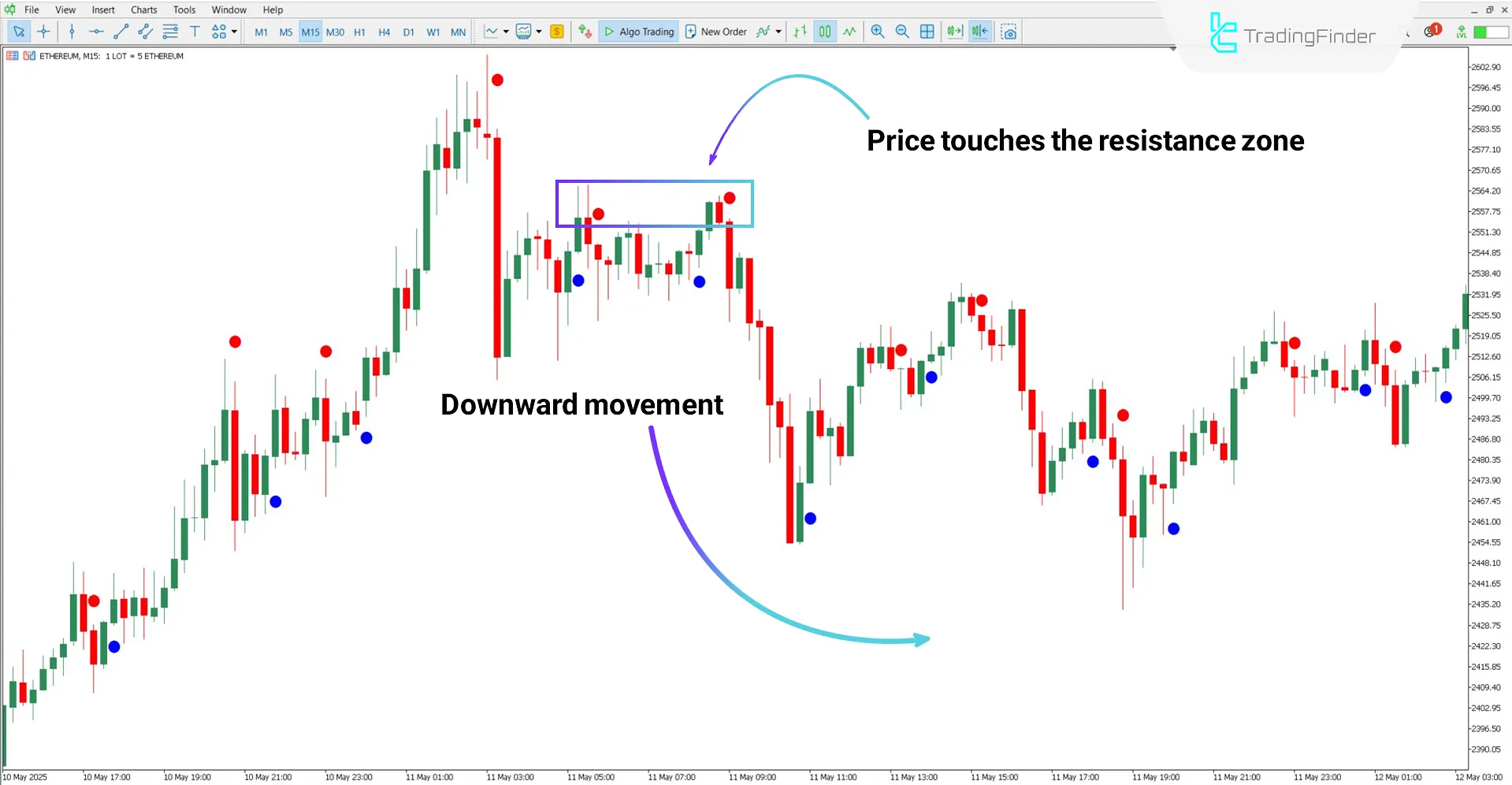Brain Trend Indicator in Bearish Market Conditions
