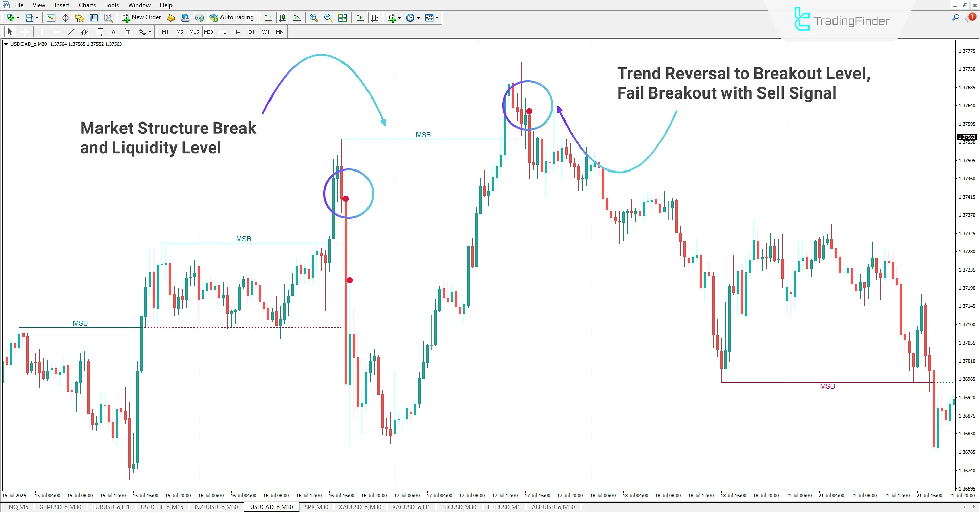 Bearish scenario in Buyside and Sellside Liquidity Indicator
