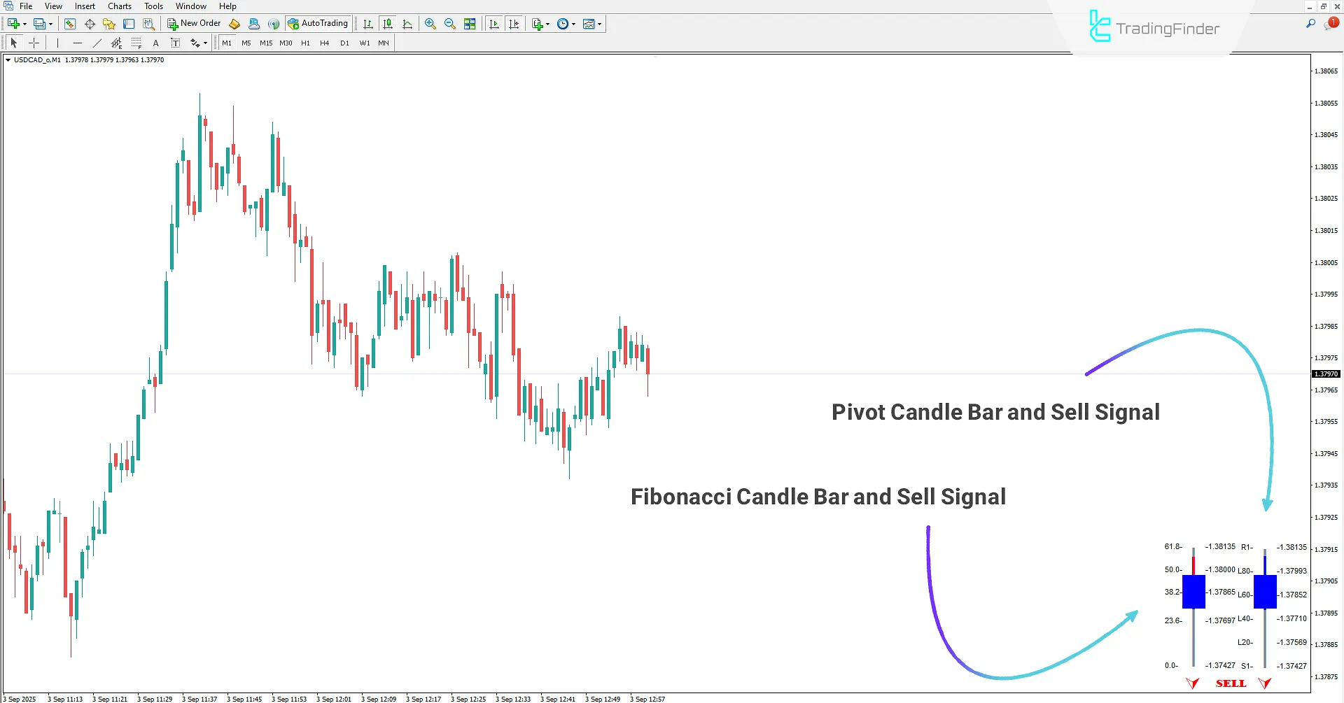 Sell Signal Displayed by Fibo Pivot Candle Bar Indicator