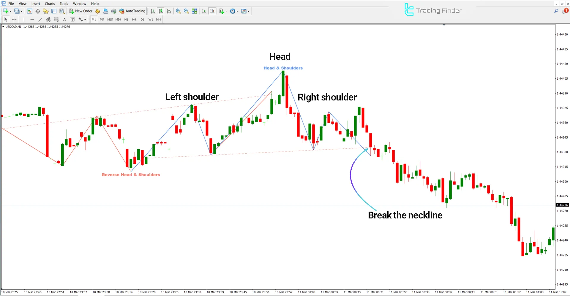 Bearish Trend Conditions for Head and Shoulders Indicator