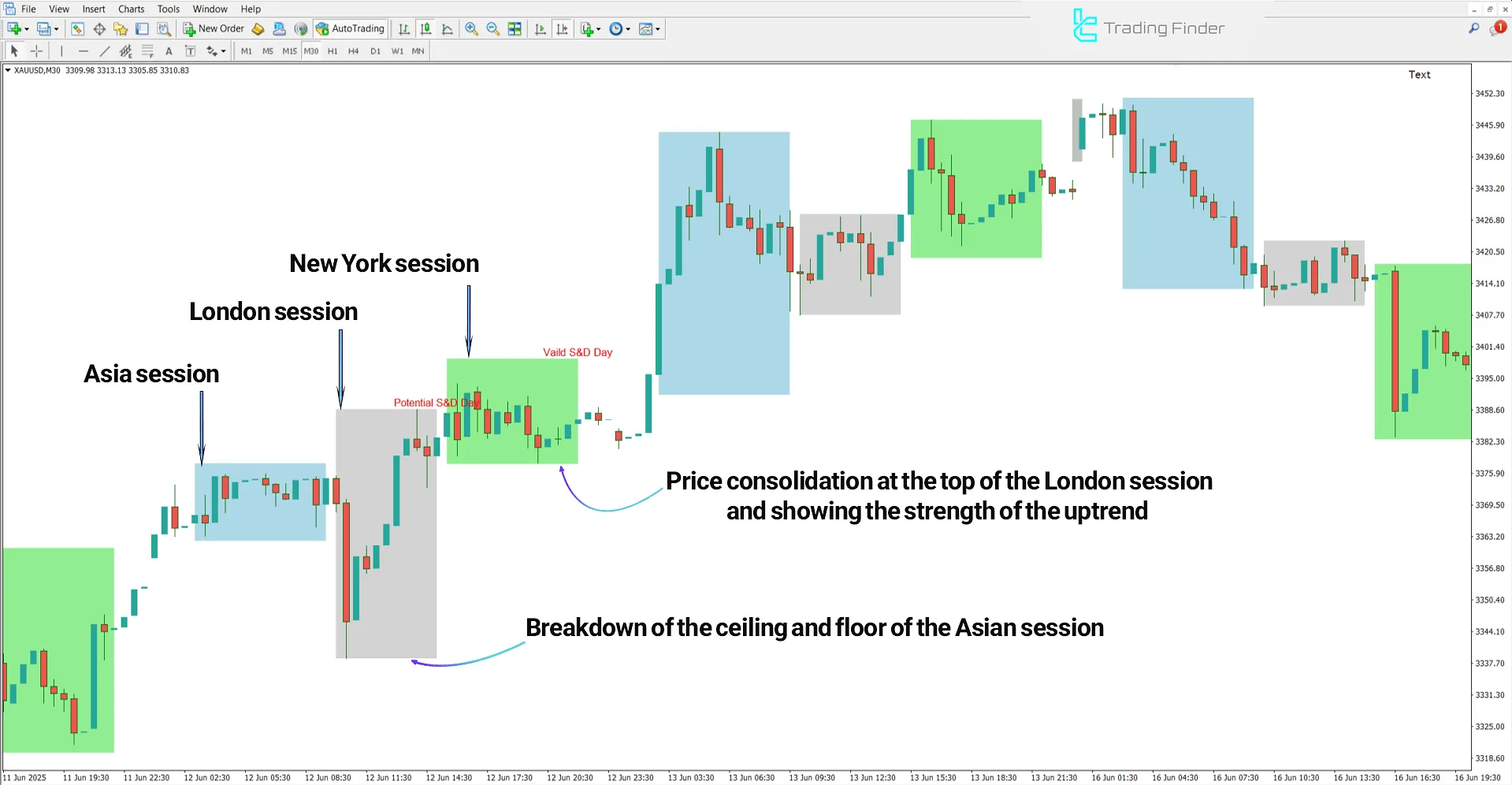 Bullish trend analysis using the ICT Seek & Destroy Profile Friday Indicator