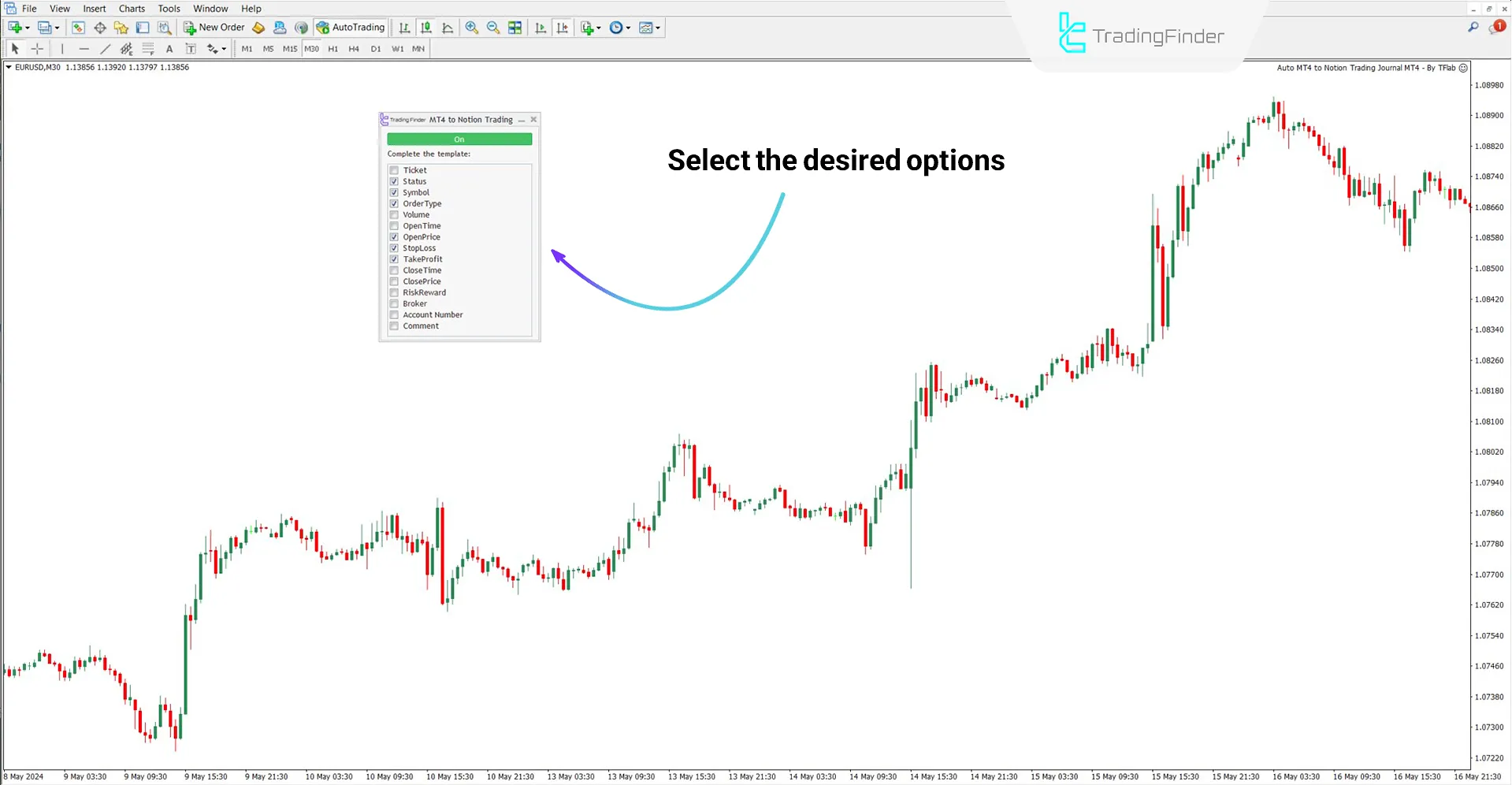 Options in the MT4 to Notion Data Transfer Expert panel