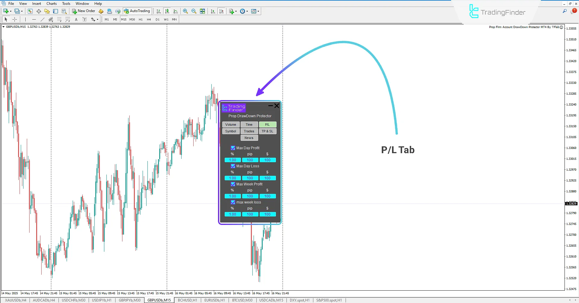 P/L Tab (Profit/Loss)
