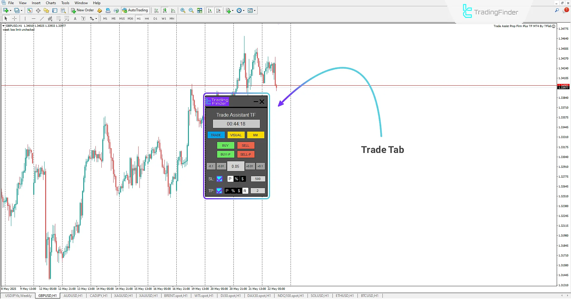 Activating the Trade Assist Prop Firm Plus TF Expert