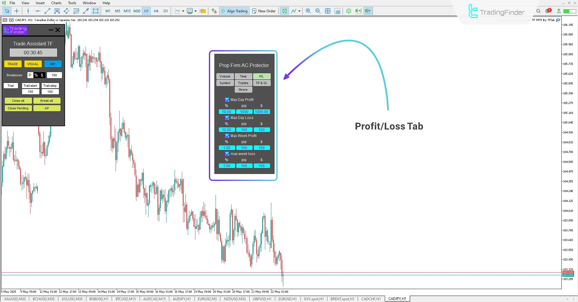 Profit/Loss (P/L) tab in Trade Assist Prop Firm Plus TF Expert