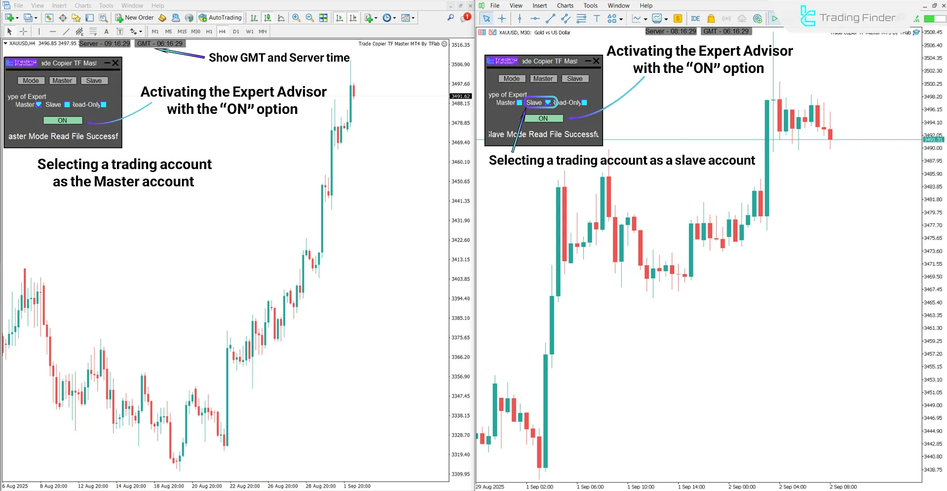 Activating Trade Copier TF Master Expert Advisor option