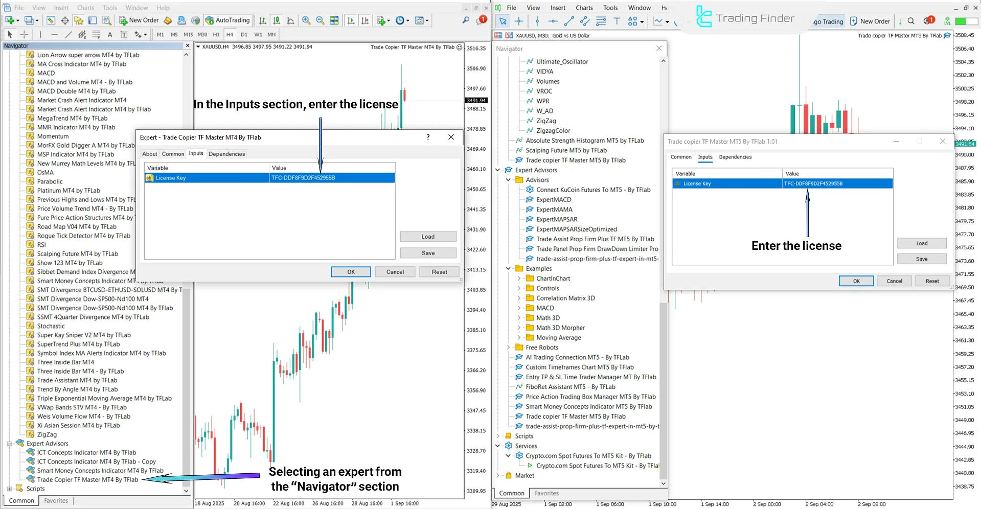 View of Trade Copier TF Master Expert Advisor (Trade Copier TF Master)