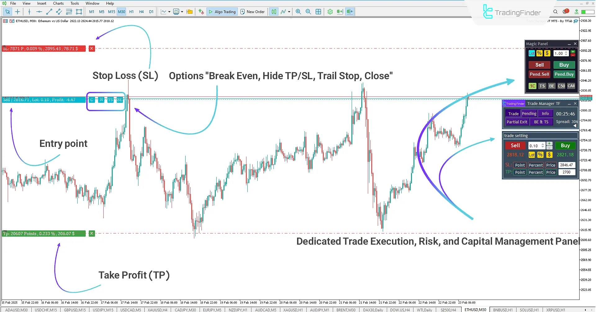 Performance of Expert (Trade Manager TF) in a Downtrend
