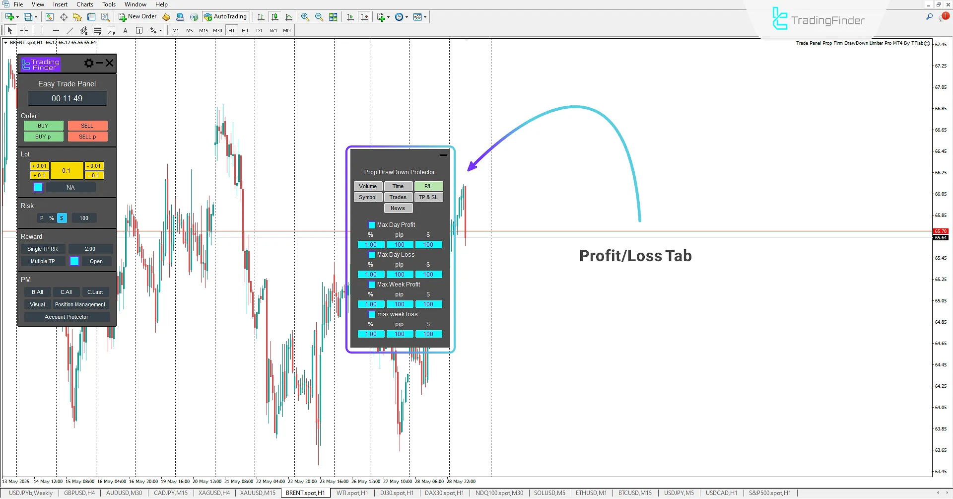 Profit/Loss (P/L) Setting Tab in Trade Panel Prop Firm Drawdawn Limiter Pro