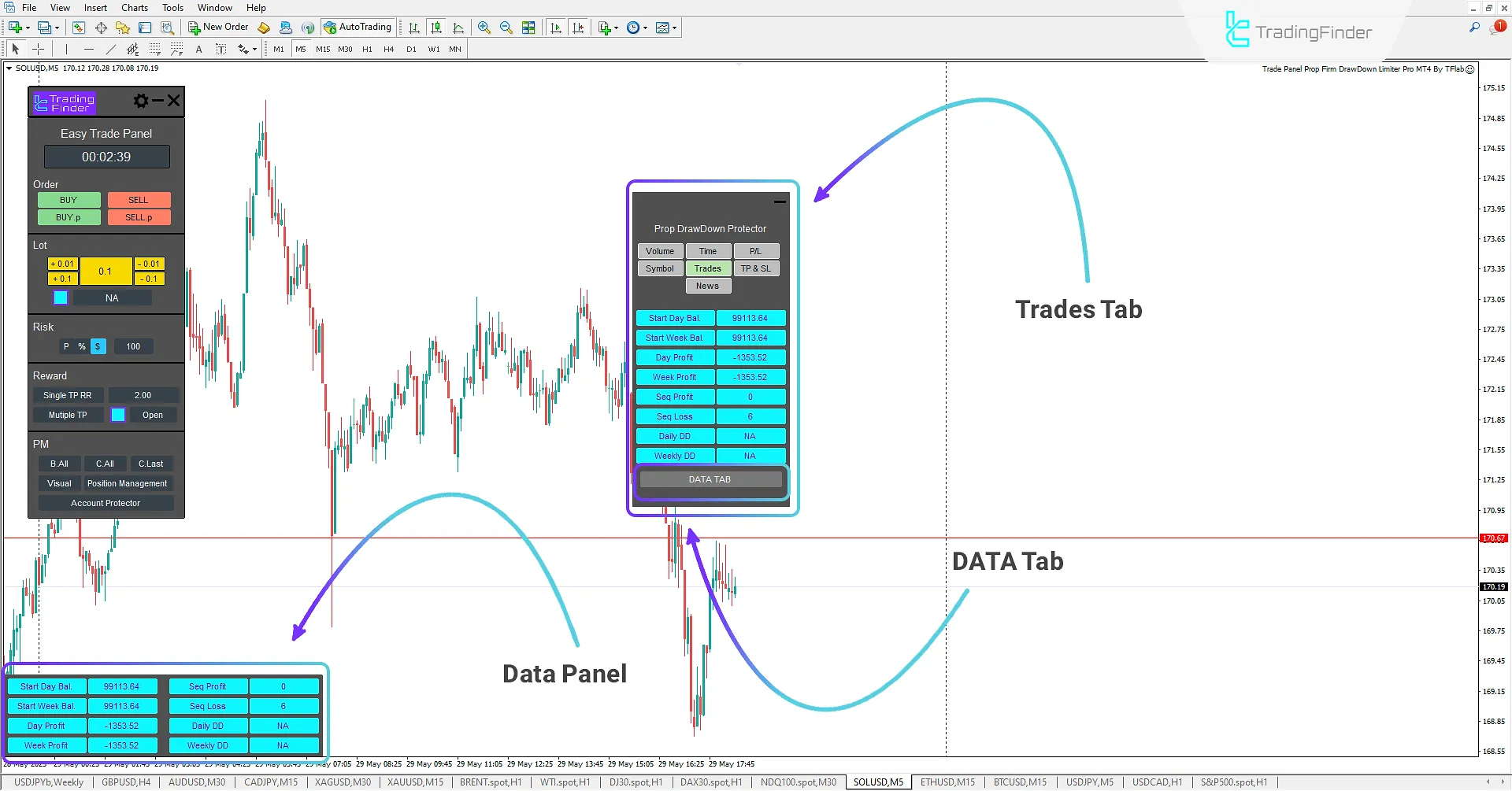 Trades and Account Information Tab (Trades)