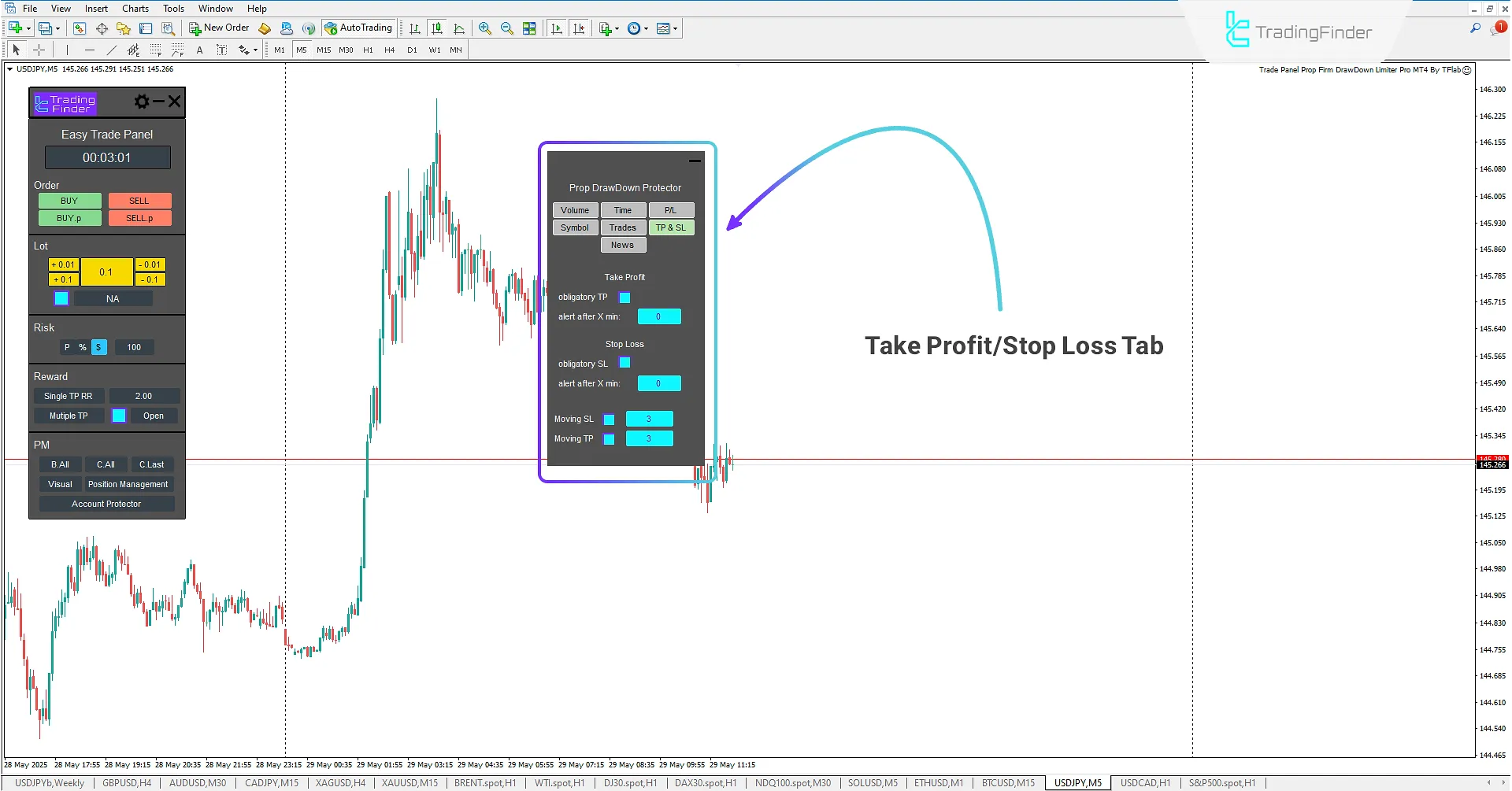 Take Profit/Stop Loss Setting Tab (TP & SL)