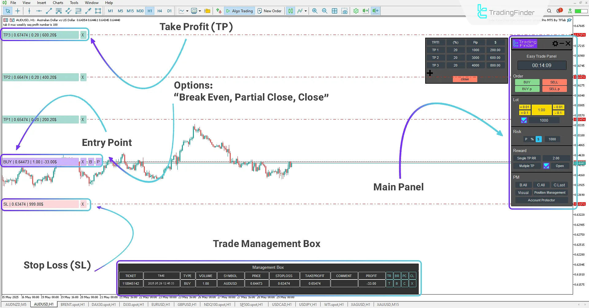 Executing a Buy Trade Using the Expert