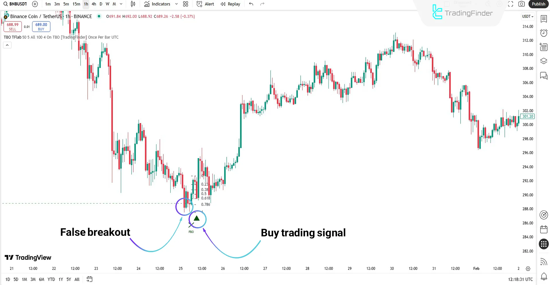 Identifying trend reversal with the help of the True Breakout Pattern indicator