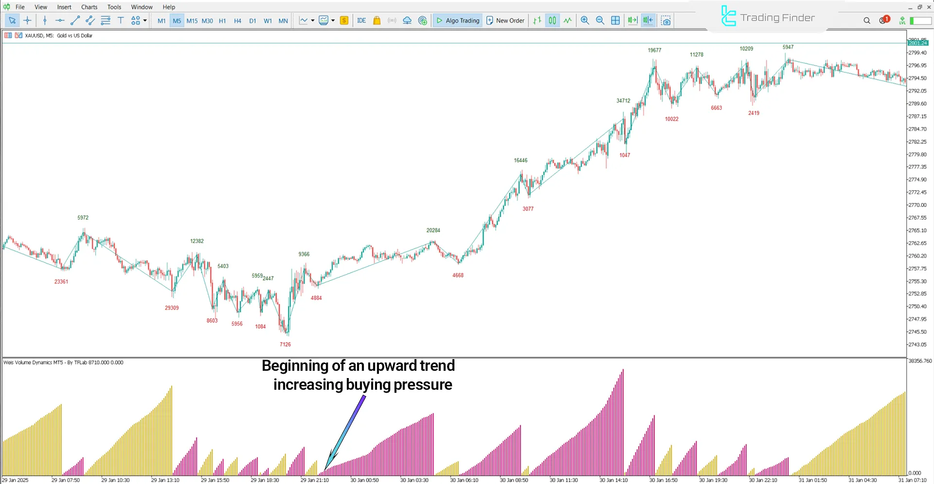Bullish trend in Weis Volume Indicator